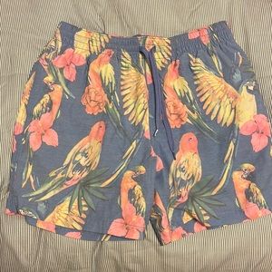 NWOT: Chubbies Swiumsuit